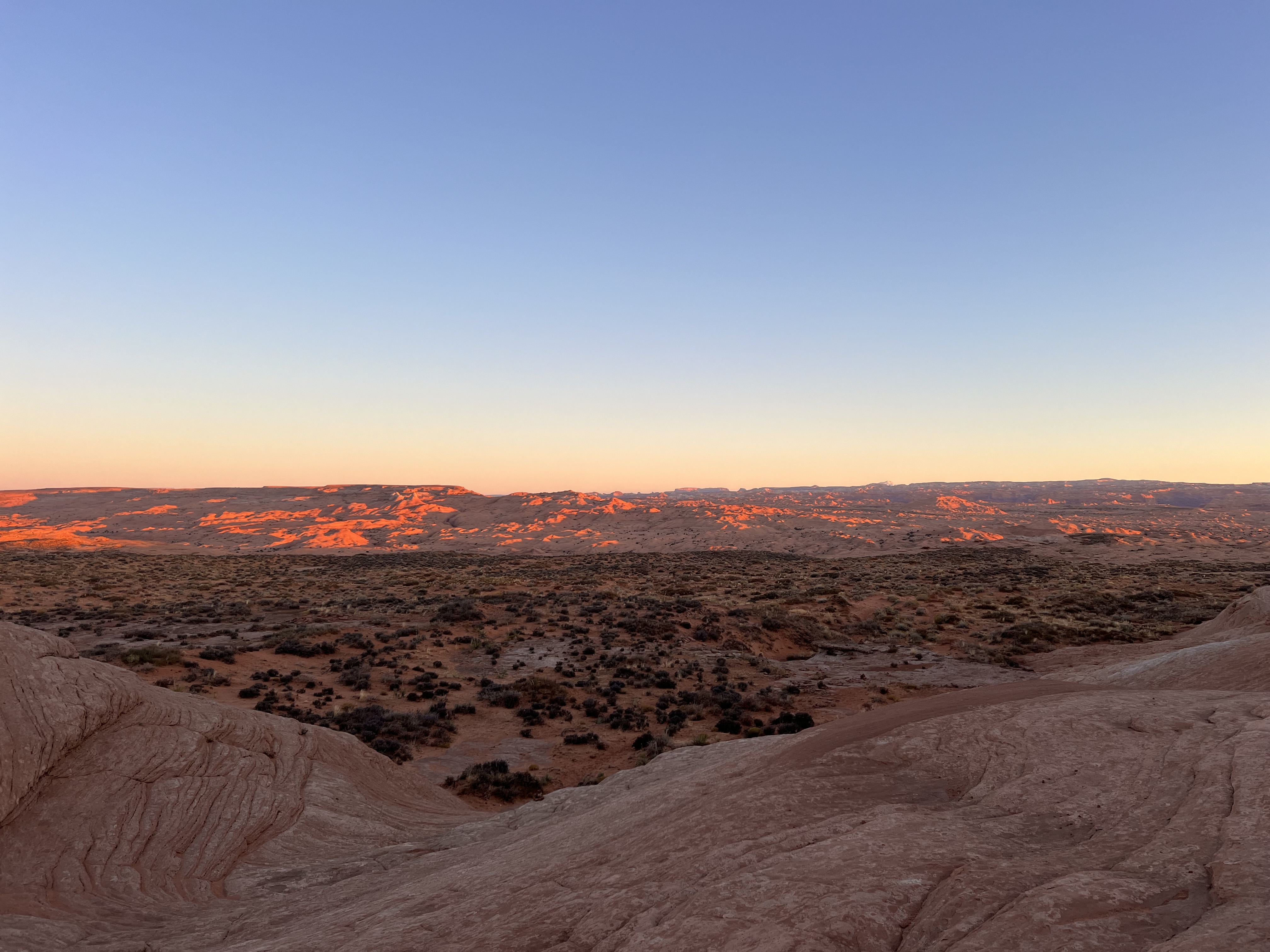 Desert landscape at evening light
